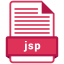 JSP